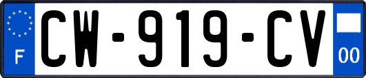 CW-919-CV