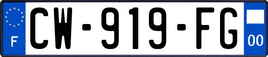 CW-919-FG