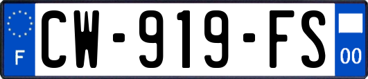 CW-919-FS