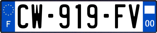 CW-919-FV