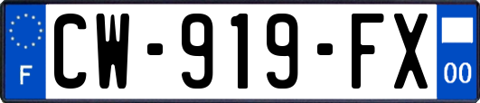 CW-919-FX