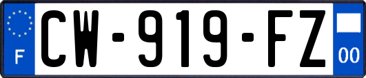 CW-919-FZ