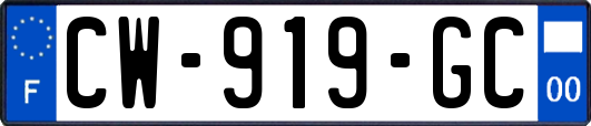 CW-919-GC