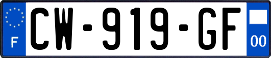 CW-919-GF