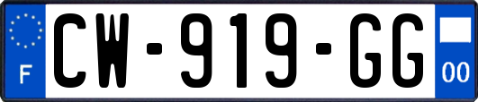 CW-919-GG