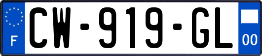 CW-919-GL