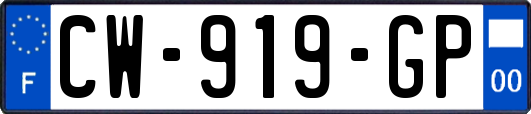 CW-919-GP
