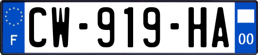 CW-919-HA
