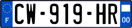 CW-919-HR