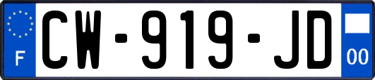 CW-919-JD