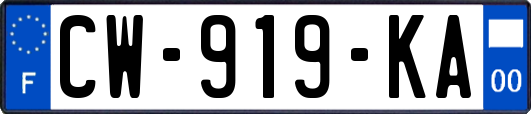 CW-919-KA