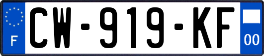CW-919-KF