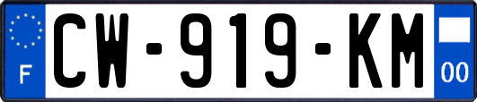 CW-919-KM