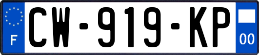 CW-919-KP