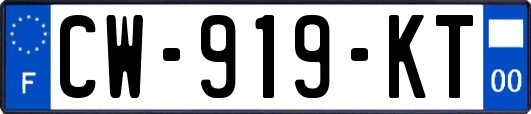 CW-919-KT
