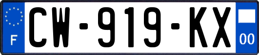 CW-919-KX