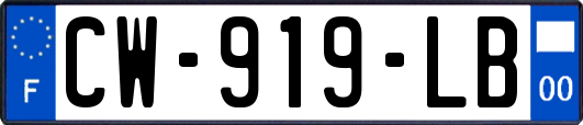 CW-919-LB