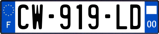 CW-919-LD