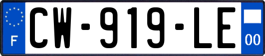 CW-919-LE