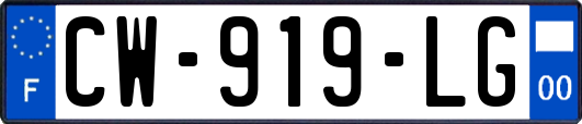 CW-919-LG