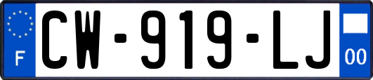 CW-919-LJ