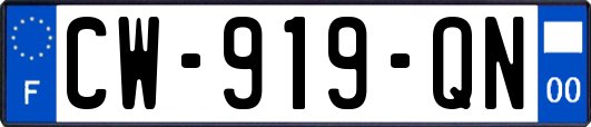 CW-919-QN