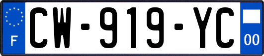 CW-919-YC