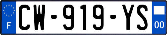 CW-919-YS