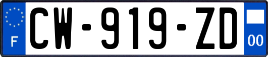 CW-919-ZD