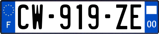 CW-919-ZE