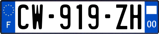 CW-919-ZH