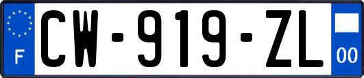 CW-919-ZL