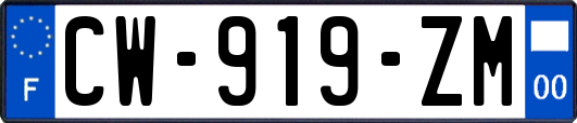 CW-919-ZM