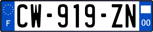 CW-919-ZN