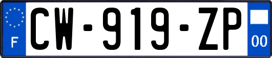 CW-919-ZP