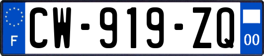 CW-919-ZQ