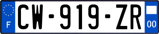 CW-919-ZR