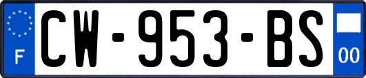 CW-953-BS