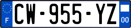 CW-955-YZ