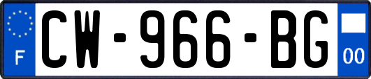 CW-966-BG