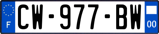 CW-977-BW