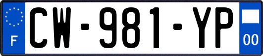 CW-981-YP