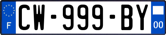 CW-999-BY