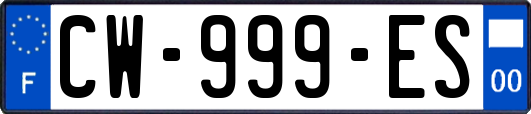 CW-999-ES