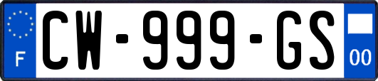 CW-999-GS
