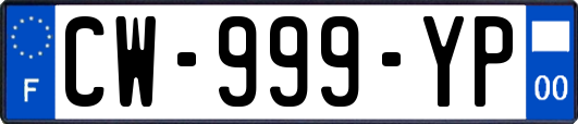 CW-999-YP