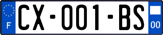 CX-001-BS