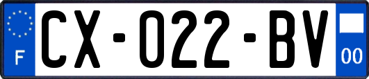 CX-022-BV