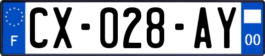 CX-028-AY