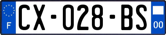 CX-028-BS